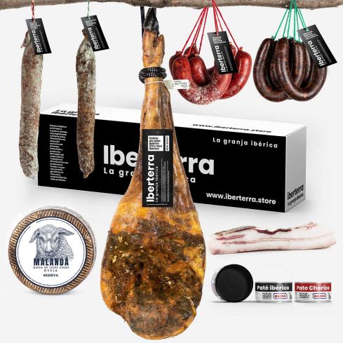 Lote de paleta de cebo ibérico XL
