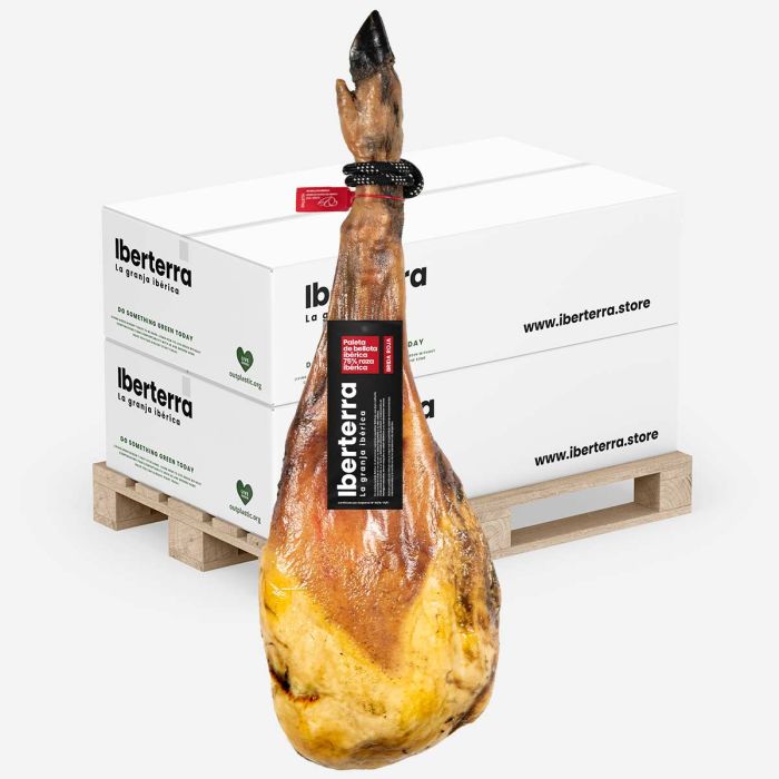 Paleta de bellota 75%-50% ibérica Iberterra Hostelería