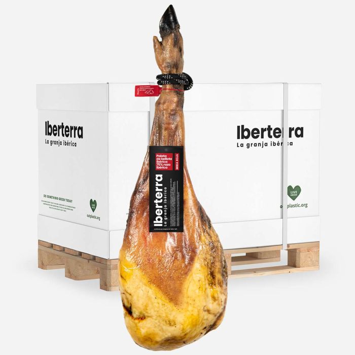 Paleta de bellota 75%-50% ibérica Iberterra Mayorista