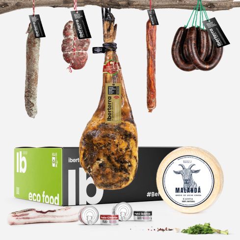 Lote Paleta de bellota 100% ibérica D.O.P. Iberterra